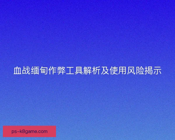 血战缅甸作弊工具解析及使用风险揭示