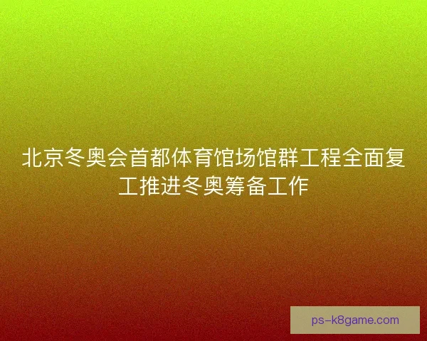 北京冬奥会首都体育馆场馆群工程全面复工推进冬奥筹备工作