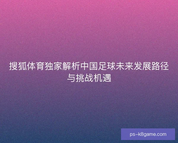 搜狐体育独家解析中国足球未来发展路径与挑战机遇